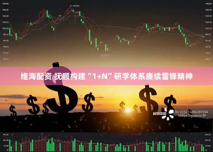 维海配资 抚顺构建“1+N”研学体系赓续雷锋精神