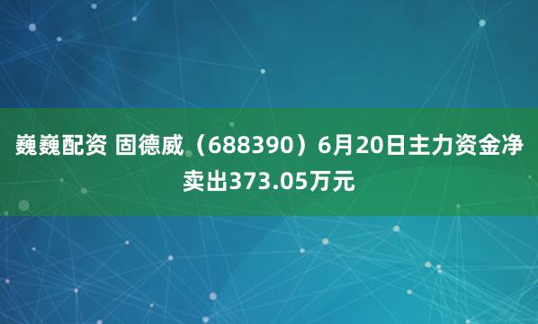 巍巍配资 固德威（688390）6月20日主力资金净卖出373.05万元