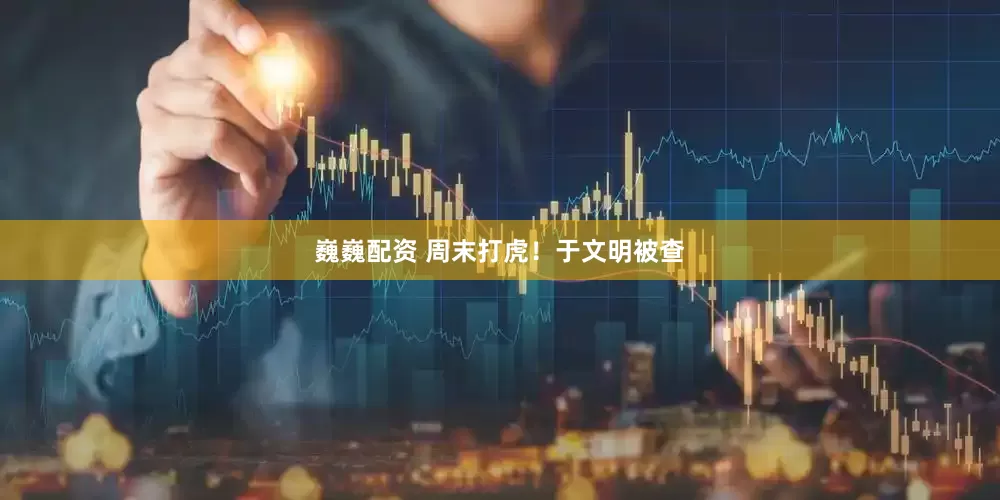 巍巍配资 周末打虎！于文明被查