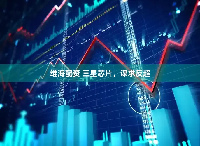 维海配资 三星芯片，谋求反超