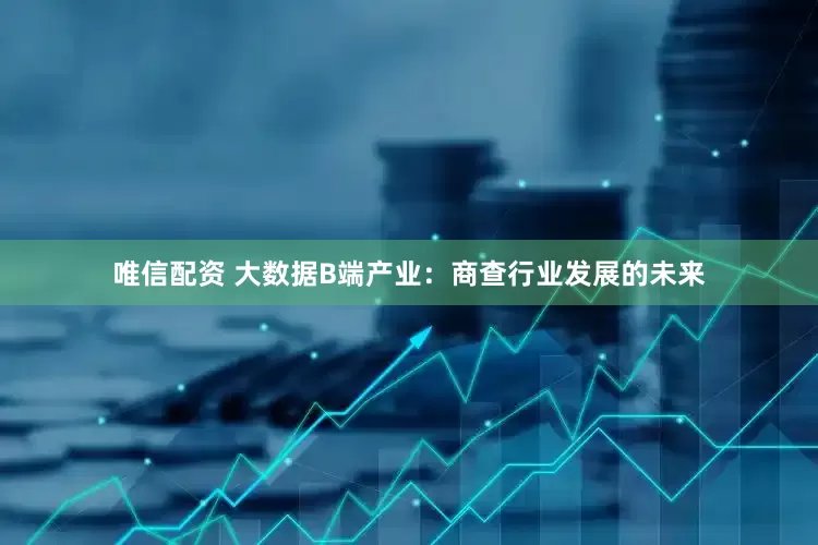 唯信配资 大数据B端产业：商查行业发展的未来