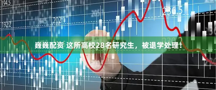 巍巍配资 这所高校28名研究生，被退学处理！