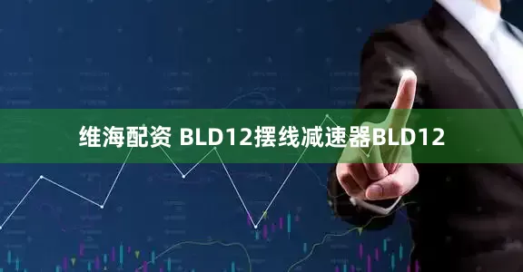 维海配资 BLD12摆线减速器BLD12